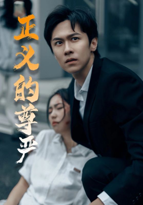 正義的尊嚴(yán)(全集)