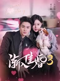 漸入佳婚3第三部(全集)