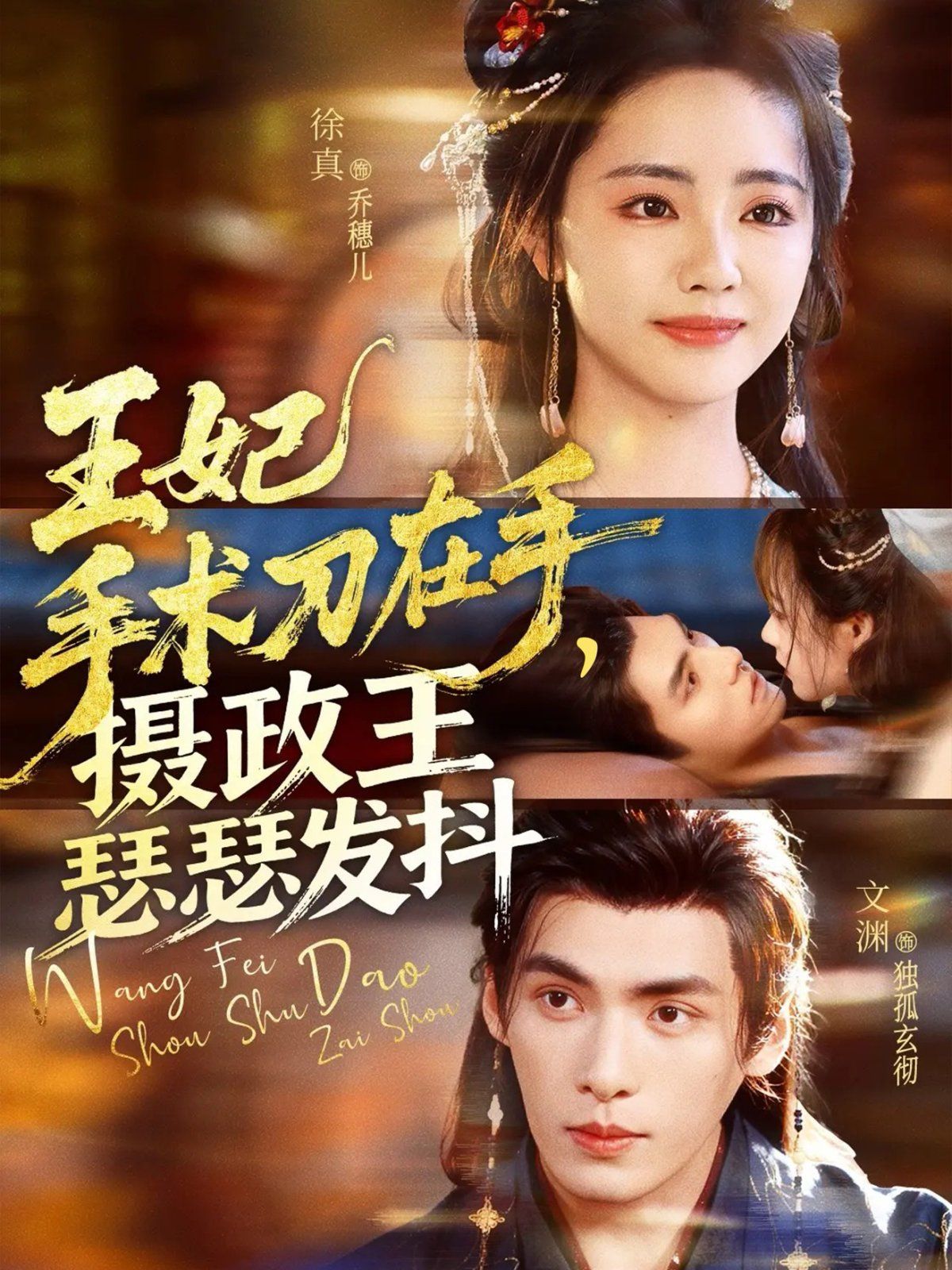 王妃手術(shù)刀在手?jǐn)z政王瑟瑟發(fā)抖(全集)