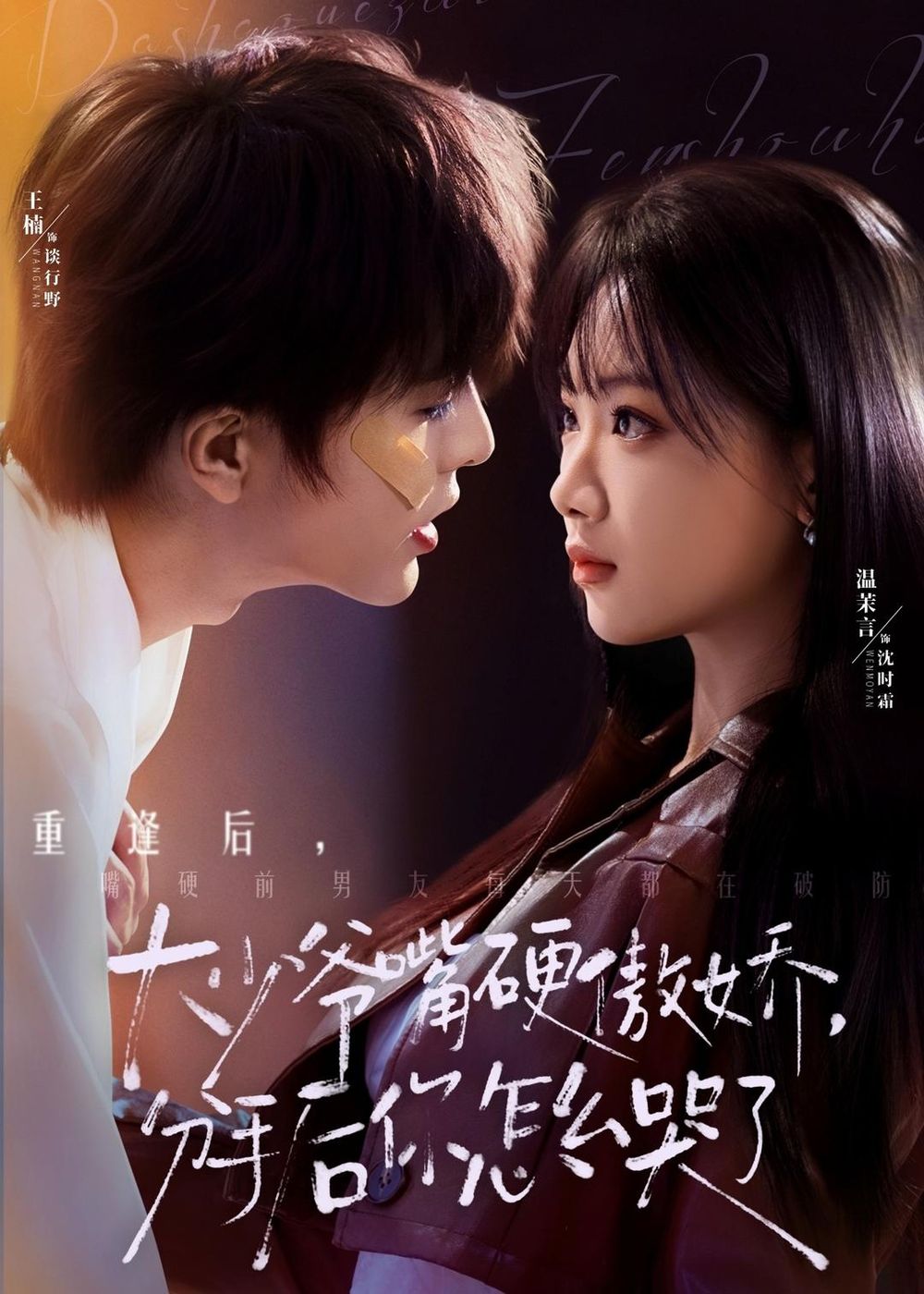 大少爺嘴硬傲嬌，分手后你怎么哭了(全集)