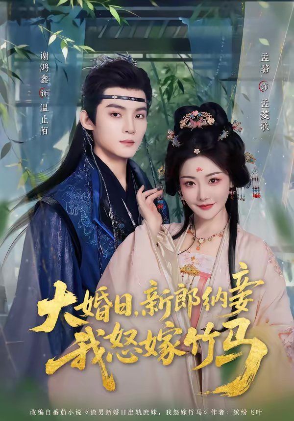 大婚日，新郎納妾我怒嫁竹馬(全集)