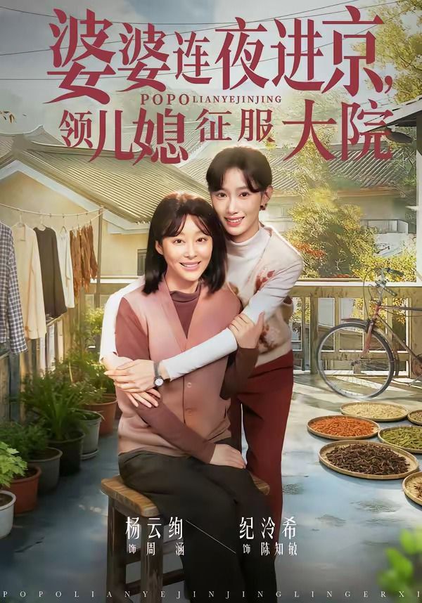 婆婆連夜進京，領兒媳征服大院(全集)