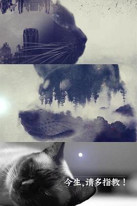 今生，請多指教第二季(全集)