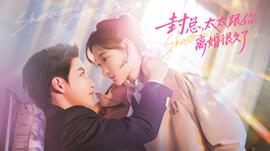 封總，太太跟你離婚很久了(全集)