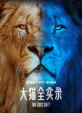 大貓全實(shí)錄(全集)