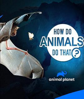 動(dòng)物奇門功夫第二季(全集)