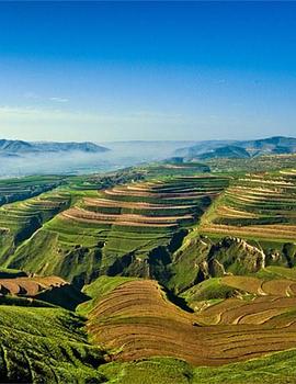 黃土大塬(全集)