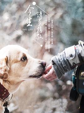 今生，請多指教第三季(全集)