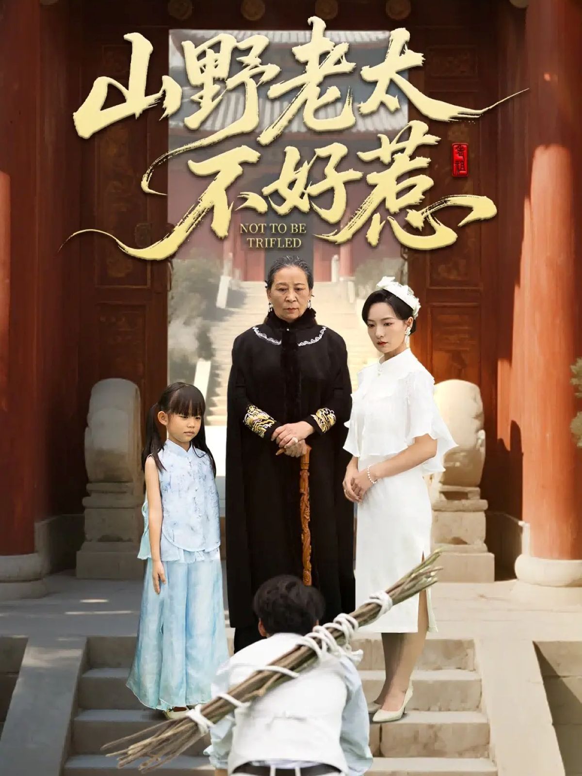 山野老太不好惹(奶奶一腳震全城)(全集)